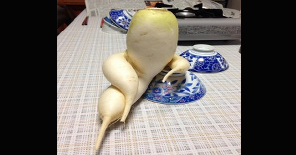 These Fruits And Vegetables Look SO Funny, I Can’t Stop Laughing!