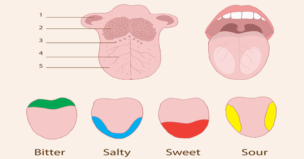 Freaky Things You Never Knew About Your Tongue...