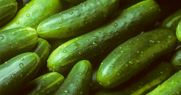 Drop Those Cucumbers—Here’s The Latest Salmonella Recall