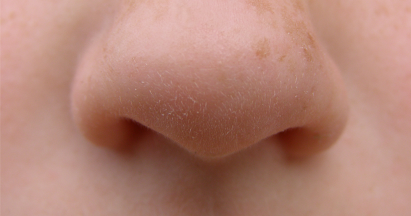 4 Crazy Facts You Never Knew About Your Nose