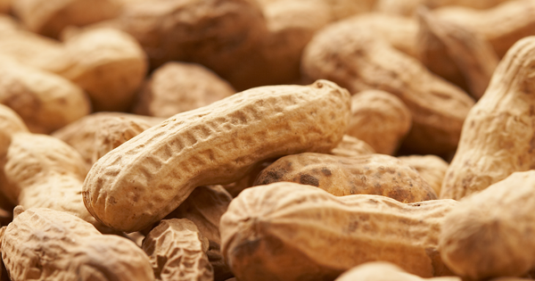 This New Patch Could FIX Peanut Allergies For Good