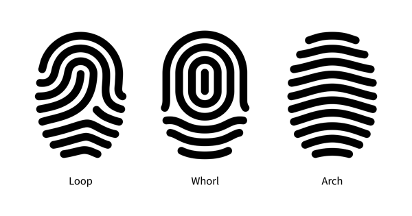 What Your Fingerprints Say About Your Personality