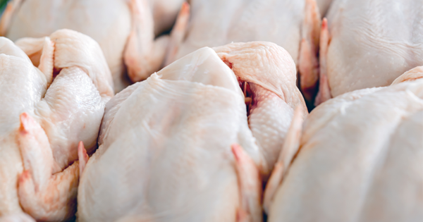 RECALL On GNP Chicken Due To Contamination