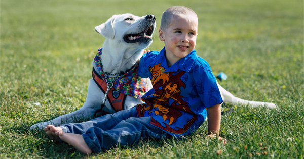 A Yellow Lab Called Lego Completely Changes How He Lives With Autism
