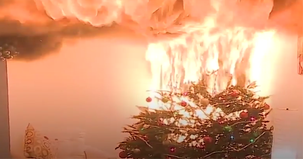 Their Christmas Tree Catches On Fire. Then The Smoke Becomes Overwhelming.