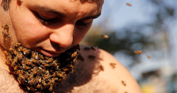 This Man Wears A Beard Of Bees To Prove A Point