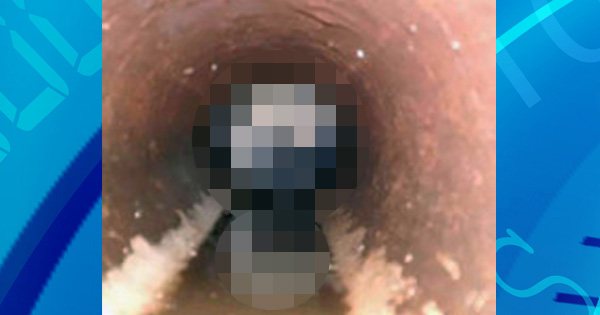 She Hears Moaning Noises Coming From Drain Pipes. When She Takes A Look Inside, She