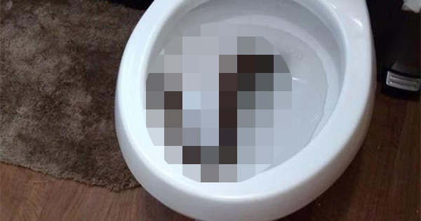 Boy Finds Something Floating In The Toilet. When His Family Discovers Where It Comes From, They Find More.
