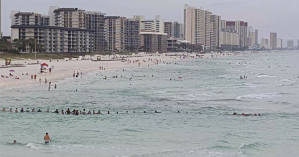 Dozens Of Strangers Come Together To Save A Family Caught In A Dangerous Riptide