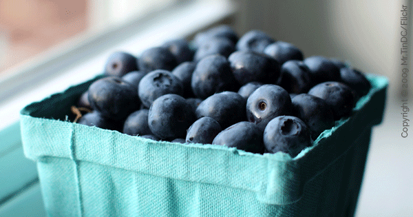 5 Healthy Foods That Combat Stress And Anxiety