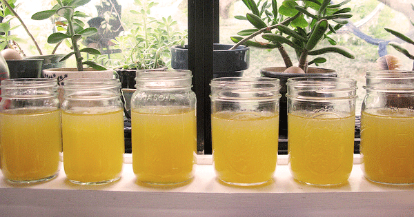 Everybody is Obsessed with Drinking Bone Broth Because...