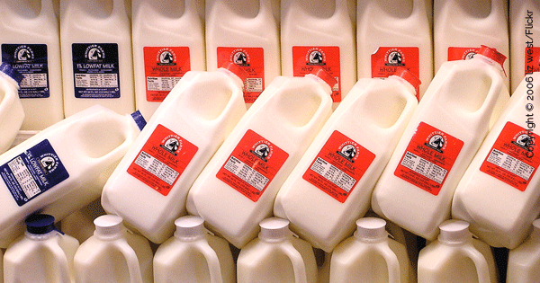 New Study Says Milk Actually Does More Harm Than Good