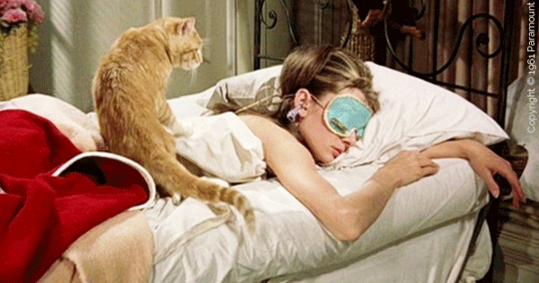 14 Facts That Justify Your Desire To Sleep In On The Weekends